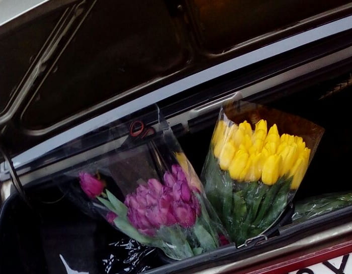 цветы в багажнике